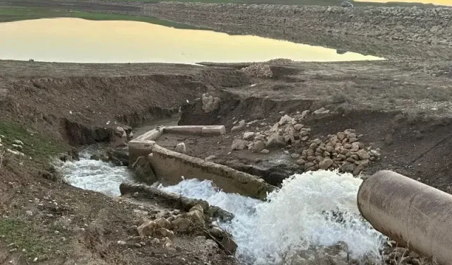 Siirt'te sulama havuzuna giren iki kardeşten biri yaşamını yitirdi