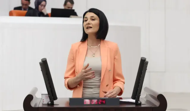 Ağrı'daki trafik kazaları Meclis gündeminde