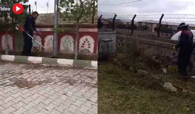 Doğubayazıt’ta kış öncesi yabancı ot temizliği yapılıyor