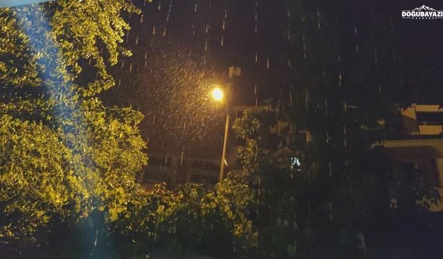 Erciş'te şiddetli yağmur etkili oldu