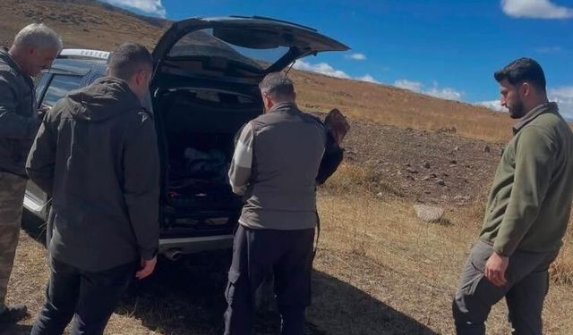 Iğdır'da kaçak avcılığa geçit yok
