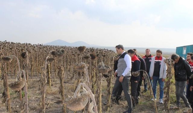 Kars'ta tarımsal üretimde çeşitliliği artıran alternatif ürünler yüz güldürüyor