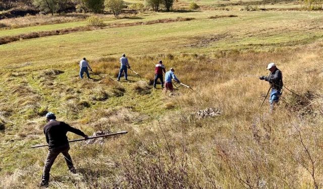Kış kapıya dayandı, Ardahan’da tırpanlar son kez sallandı