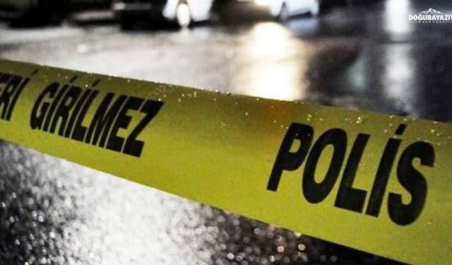 Muş’ta yıldırım isabet eden 19 yaşındaki çoban hayatını kaybetti