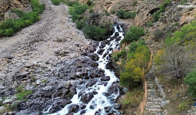 Van Çatak'ta doğanın mucizesi: Kanispi Şelalesi yeniden akıyor