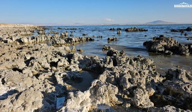 Yağışlar çare olmadı: Van Gölü su kaybetmeye devam ediyor
