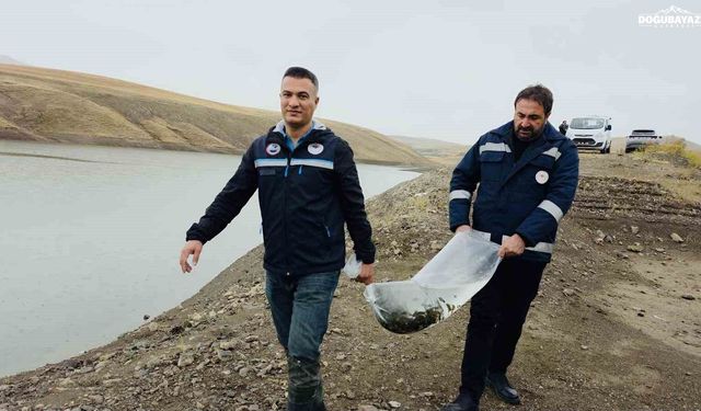 Van’ın su ürünleri sektöründen ekonomiye 25 milyon dolarlık katkı