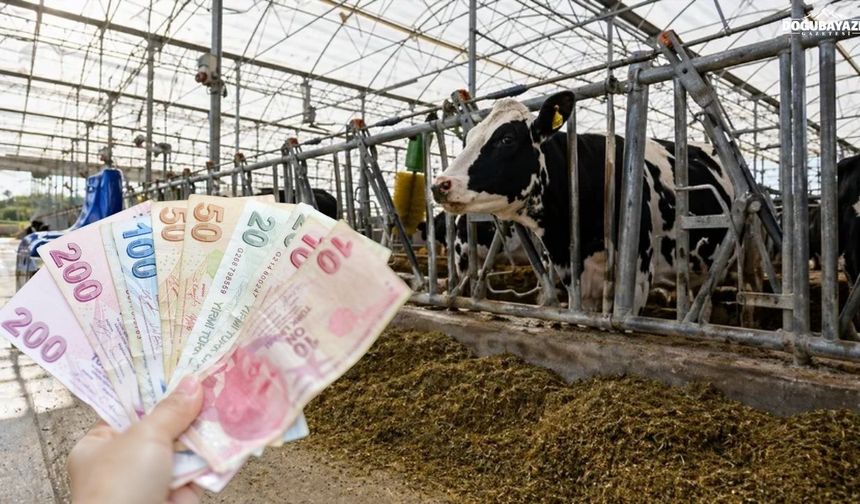 Ağrı’daki çiftçilere müjde: Destek ödemeleri hesaplara aktarılıyor