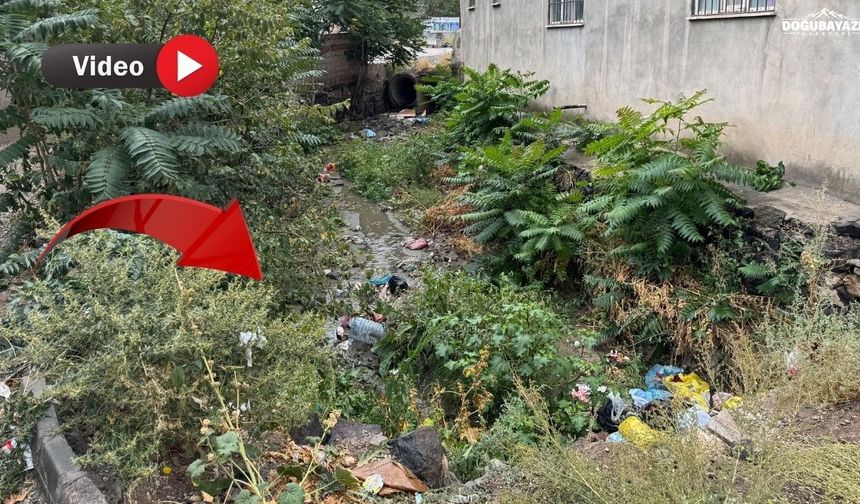 Doğubayazıt’ta dere çilesi: Mahalle sakinleri camlarını açamıyor
