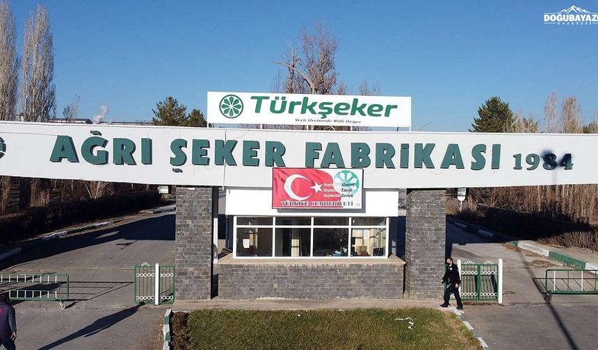 Ağrı'da şeker pancarı alım fiyatı belli oldu
