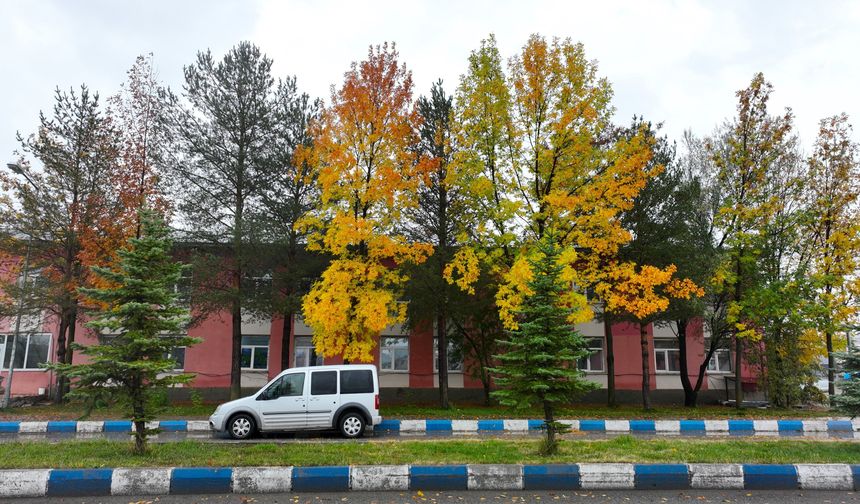 Ağrı'da yağmur sonrası sonbahar güzelliği