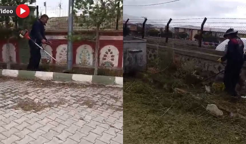 Doğubayazıt’ta kış öncesi yabancı ot temizliği yapılıyor