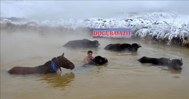 /resimler/2015-12/21/1040081453307.jpg