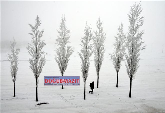 /resimler/2015-12/22/1356205289570.jpg