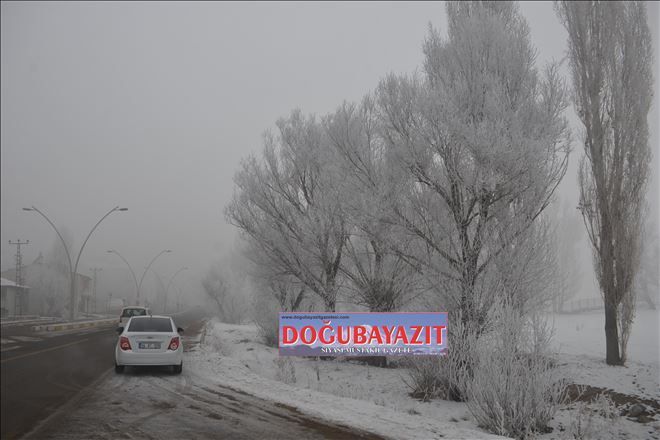 /resimler/2015-12/22/1358280451968.jpg