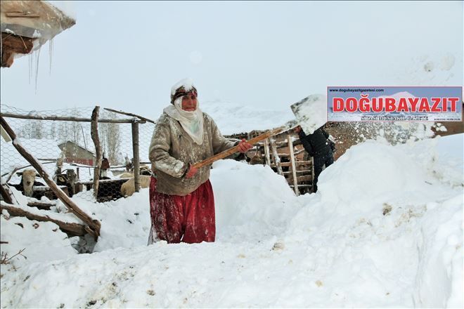 /resimler/2016-1/27/0934237933175.jpg