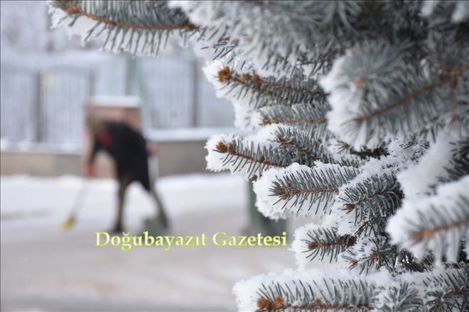 /resimler/2017-12/11/1124210816718.jpg /resimler/2017-12/11/1124210816718.jpg