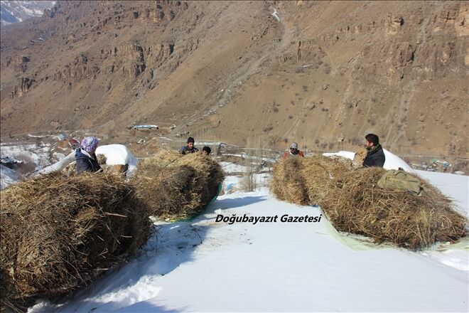 /resimler/2019-2/25/1427078989284.jpg /resimler/2019-2/25/1427078989284.jpg