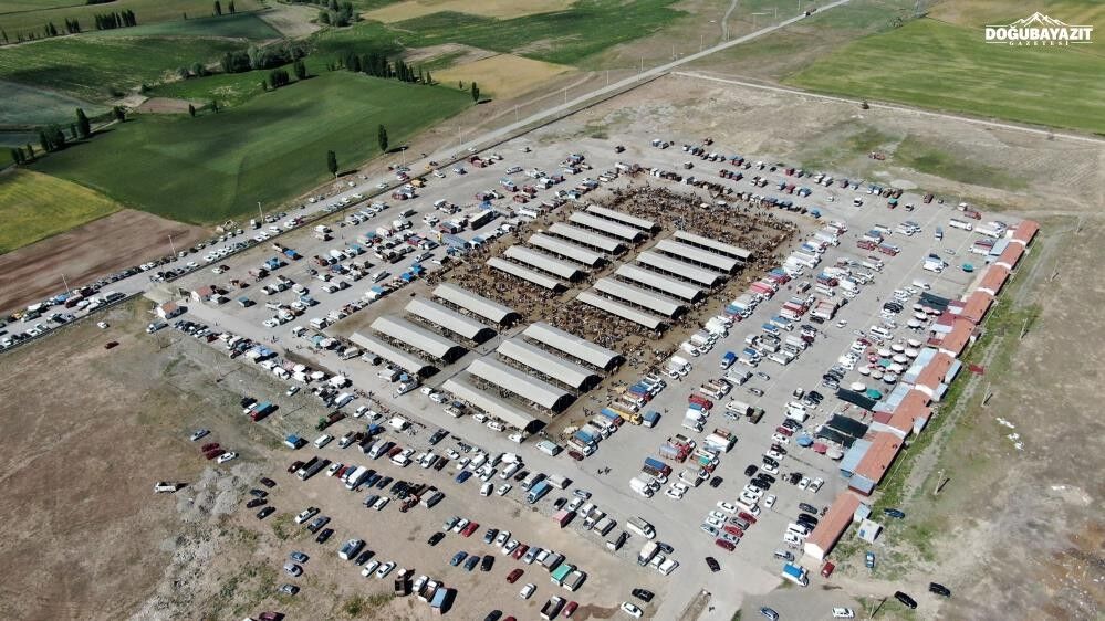 Bölgenin en büyük pazarına şap engeli: Şarkışla'da faaliyetler durduruldu