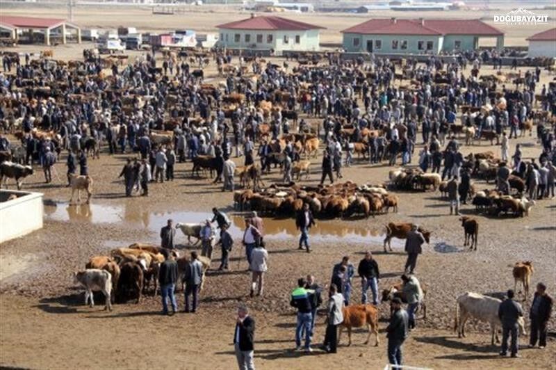 Ağrı Hayvan Borsasıil Taırm Foto