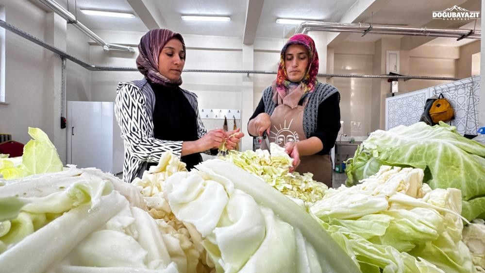 Ağrı'da Ata Tohumu Lahanalar Kadınların Elinde Doğal Ilaca Dönüştü (4)