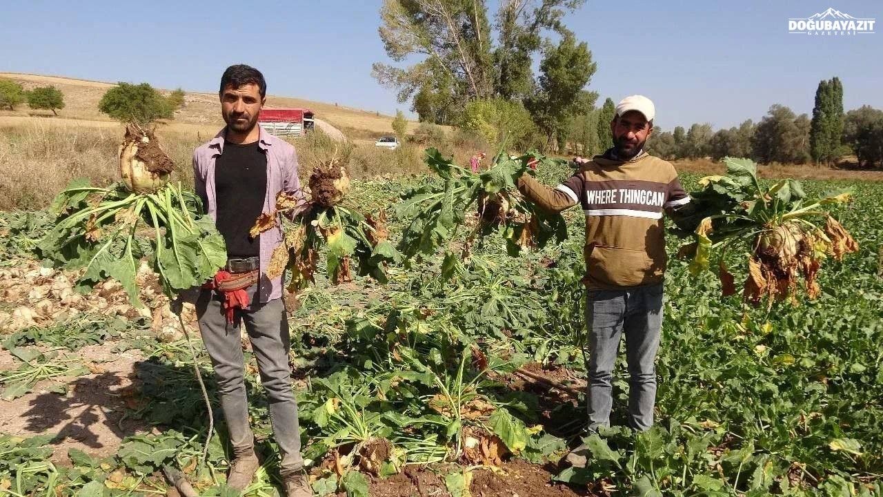 Dem Partili Demir'den Şeker Pancarı Fiyatına Tepki Kabul Etmiyoruz (2)