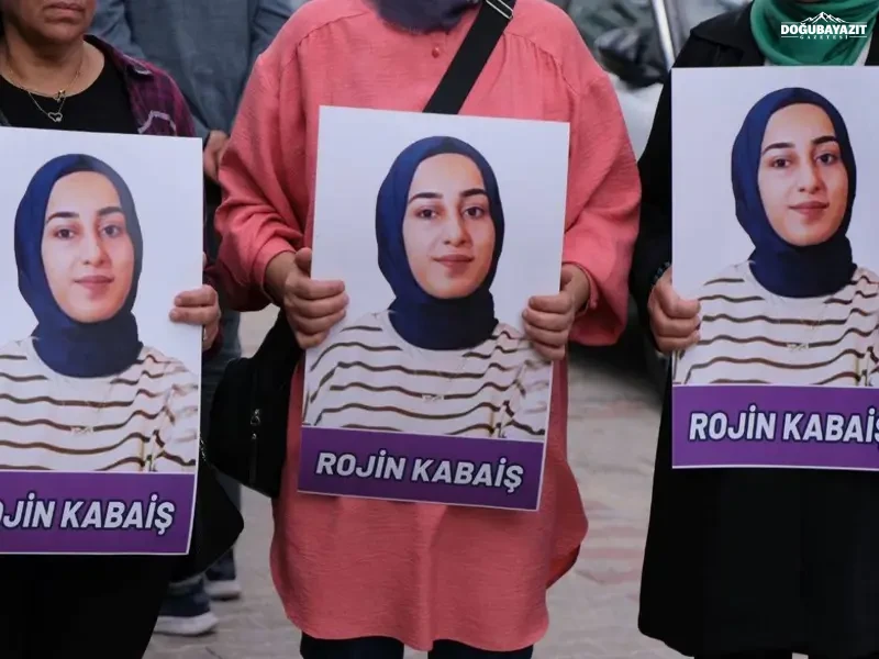 Rojin2