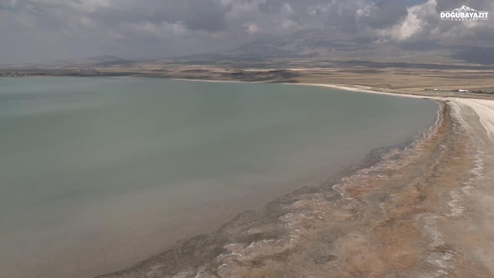 Süphan Dağı Eteklerindeki Kuş Cennetinde Su Seviyesi Hızla Düşüyor