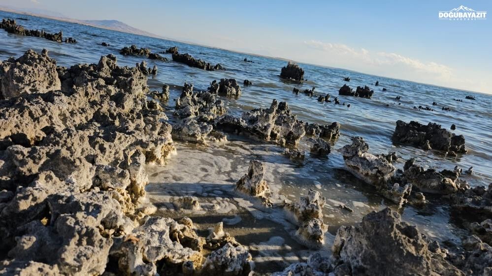 Van Gölü Su Kaybetmeye Devam Ediyor1