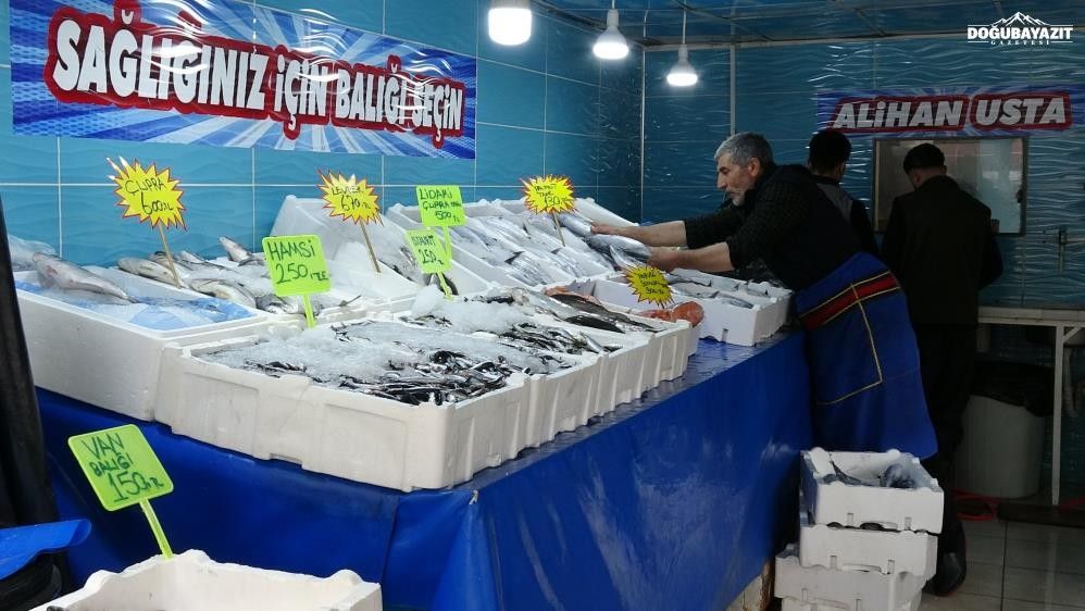 Van'da Inci Kefali Tezgâhların Gözdesi Oldu (2)