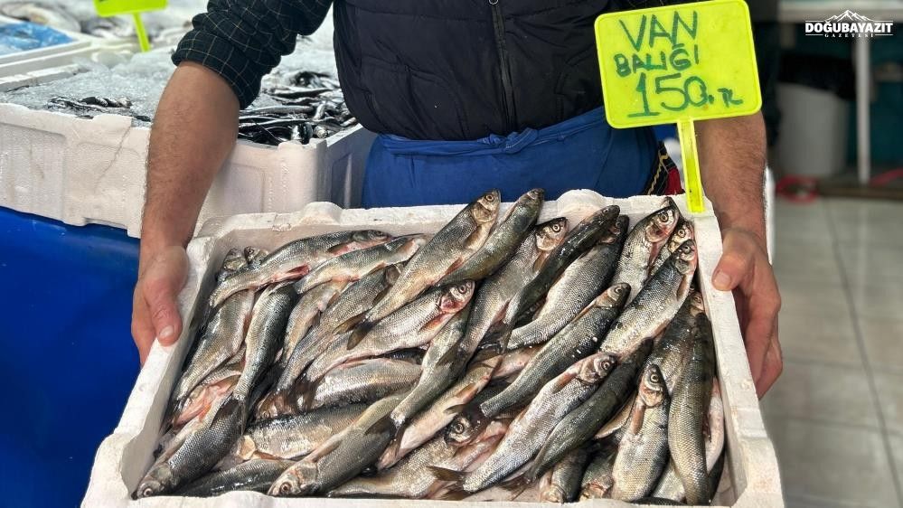 Van'da Inci Kefali Tezgâhların Gözdesi Oldu